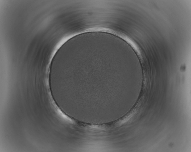 X0000094441102200711151359