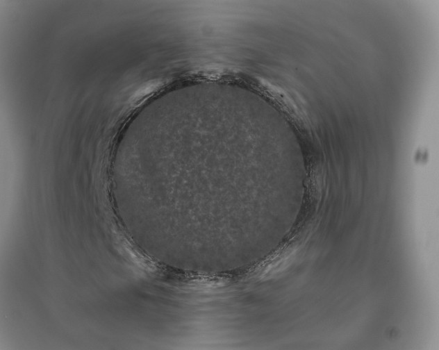 X0000094441105200711151358