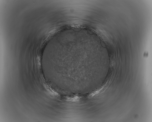 X0000094441106200711151358