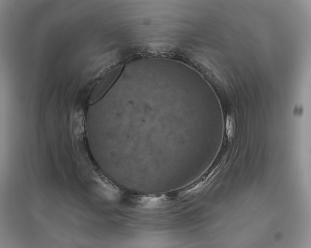 X0000094441107200711151358