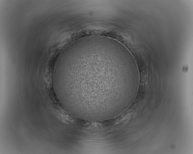 X0000094441109200711151358