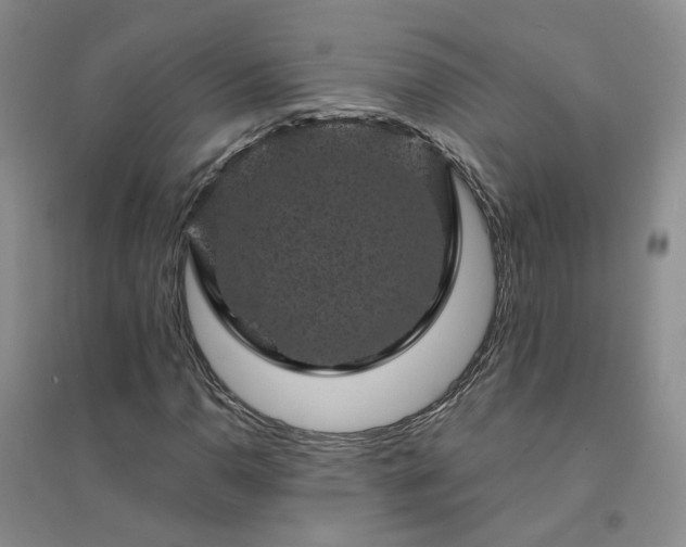 X0000094441110200711151358