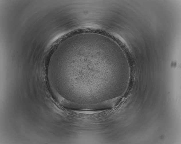 X0000094441112200711151358