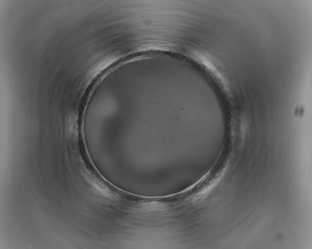 X0000094441113200711151358