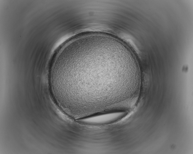 X0000094441114200711151358