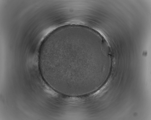 X0000094441115200711151358