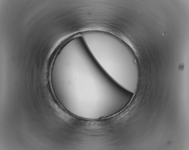 X0000094441116200711151358