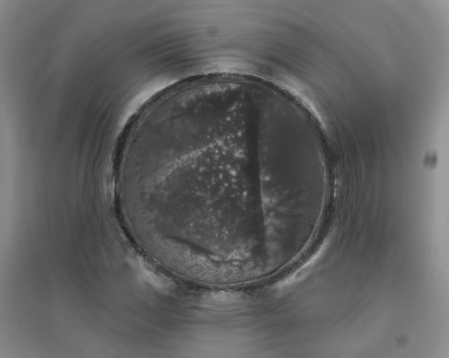 X0000094441117200711151358