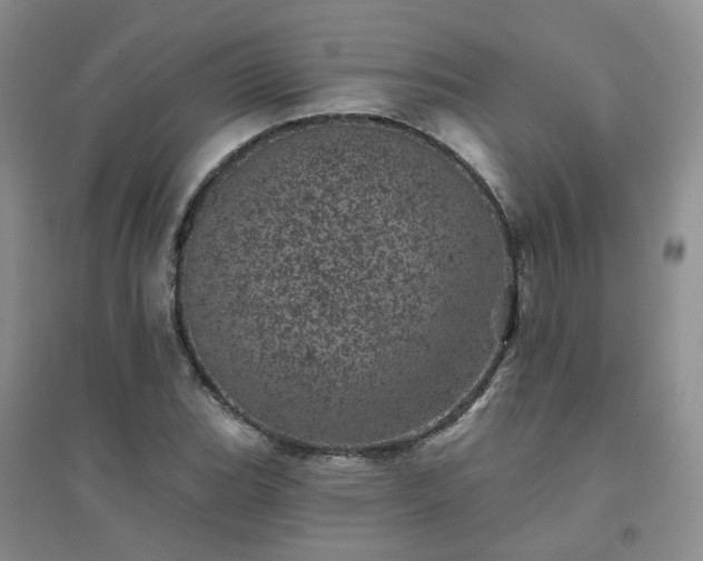 X0000094441119200711151358