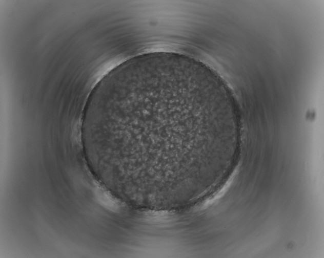 X0000094441121200711151358