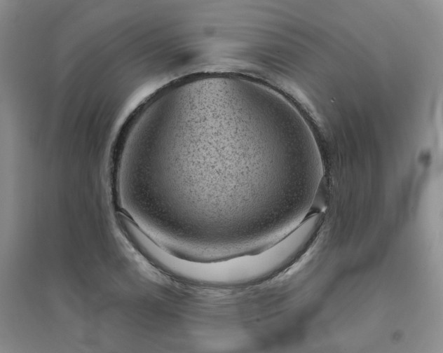 X0000094441122200711151358