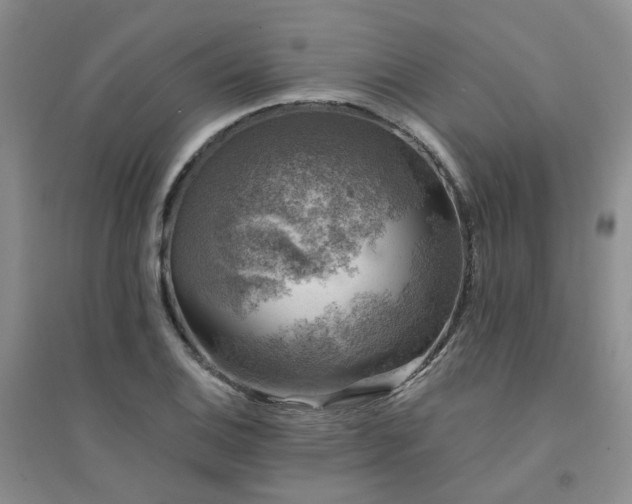X0000094441124200711151358