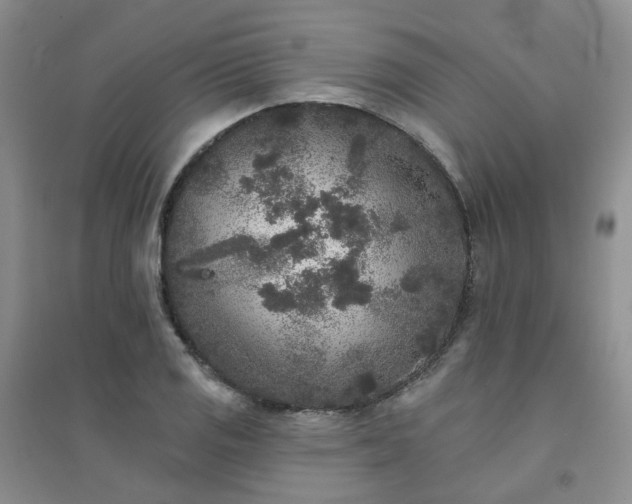 X0000094441125200711151358