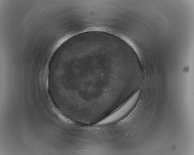 X0000094441127200711151358