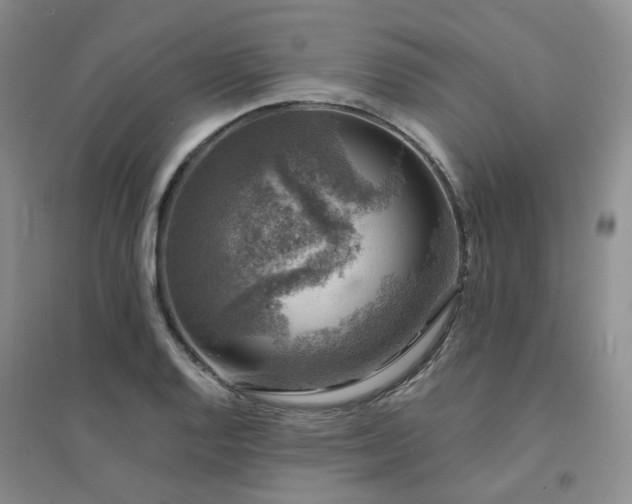 X0000094441128200711151358