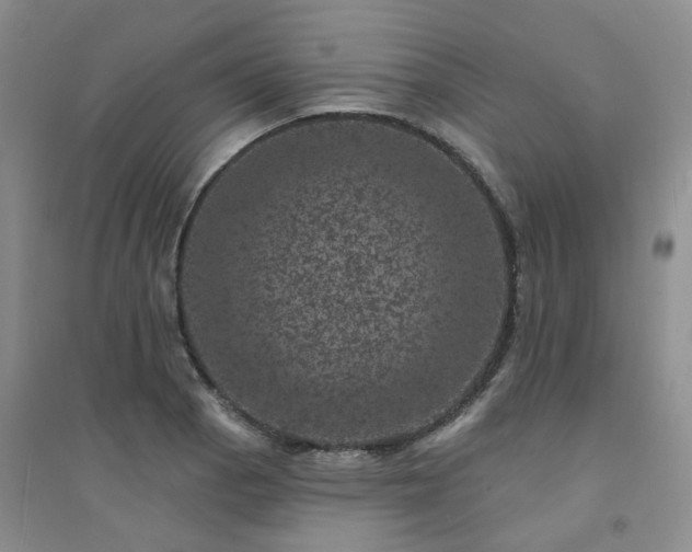 X0000094441129200711151358