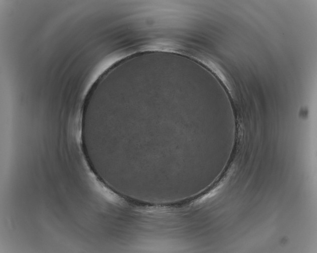 X0000094441131200711151358