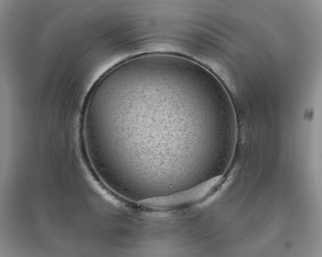 X0000094441134200711151358