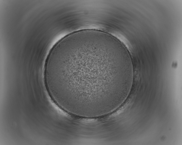 X0000094441135200711151358