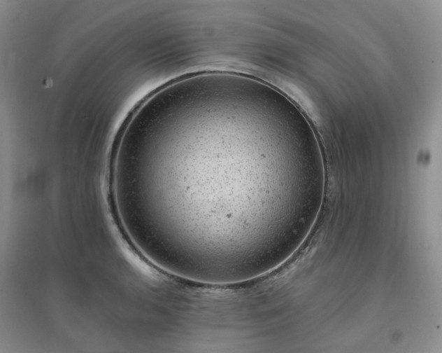 X0000094441136200711151358
