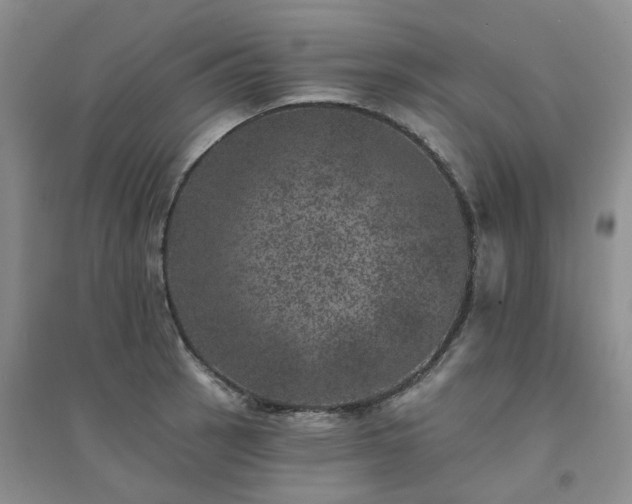 X0000094441137200711151358