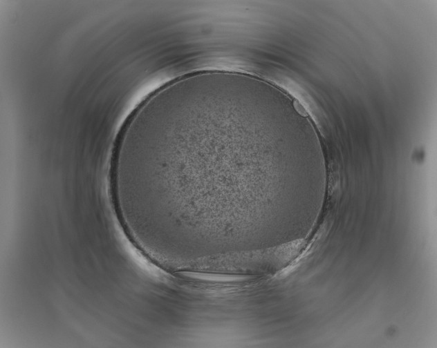 X0000094441139200711151358