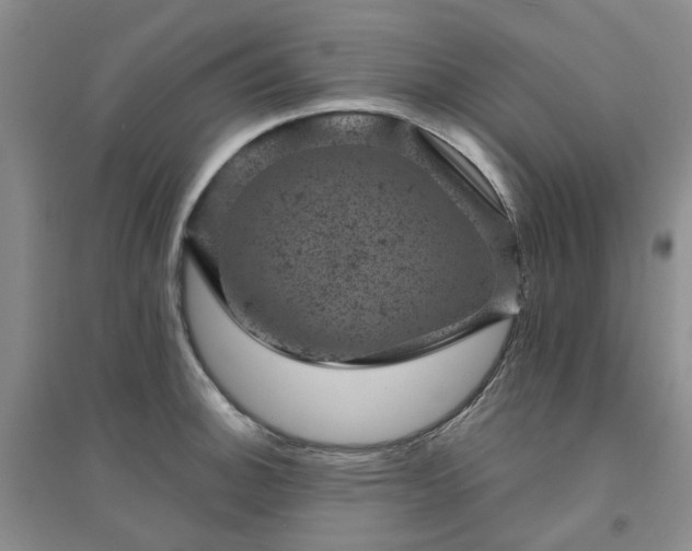 X0000094441140200711151358