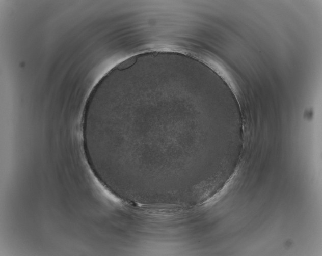 X0000094441141200711151359