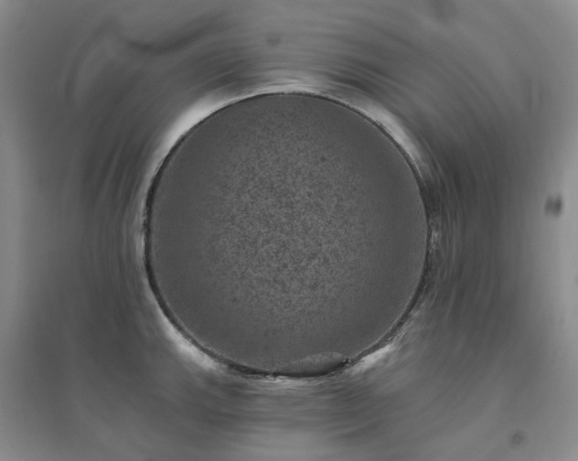 X0000094441143200711151359