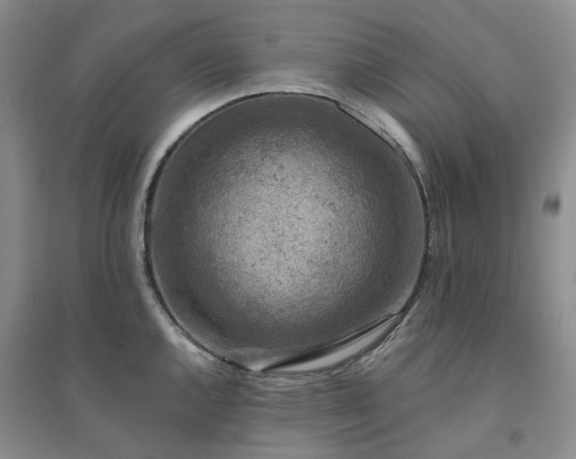 X0000094441144200711151359