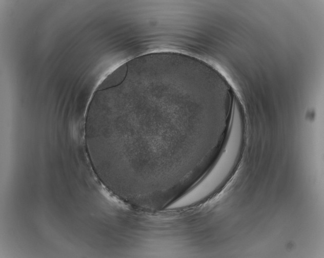 X0000094441145200711151359