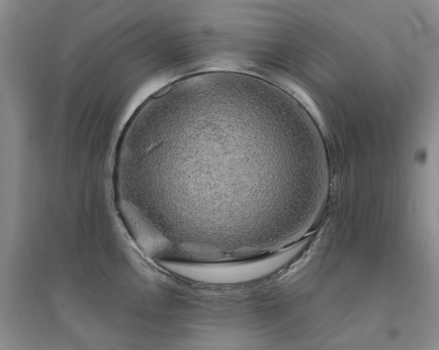 X0000094441146200711151359