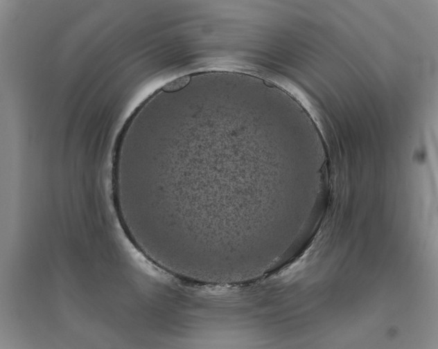 X0000094441147200711151359