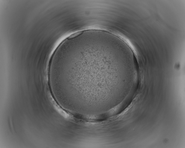 X0000094441148200711151359