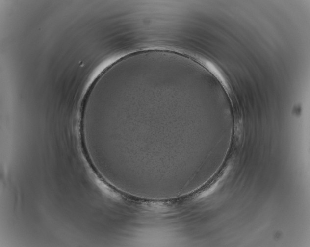 X0000094441149200711151359