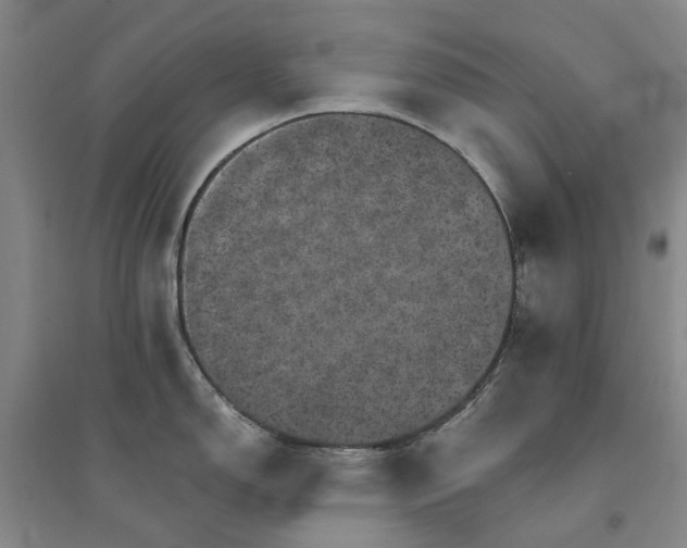 X0000094441150200711151359