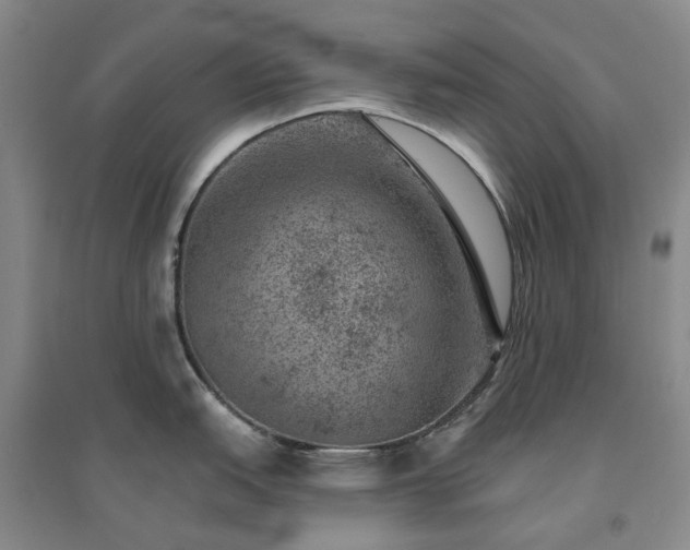 X0000094441151200711151359