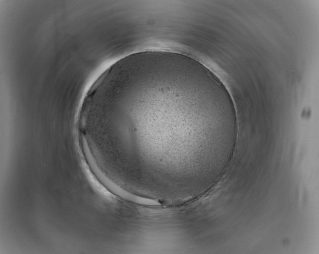 X0000094441152200711151359