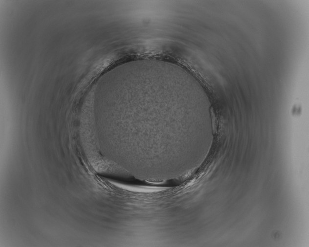 X0000094441153200711151358