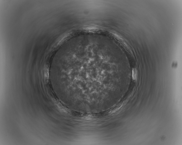 X0000094441155200711151358