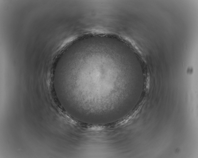 X0000094441157200711151358