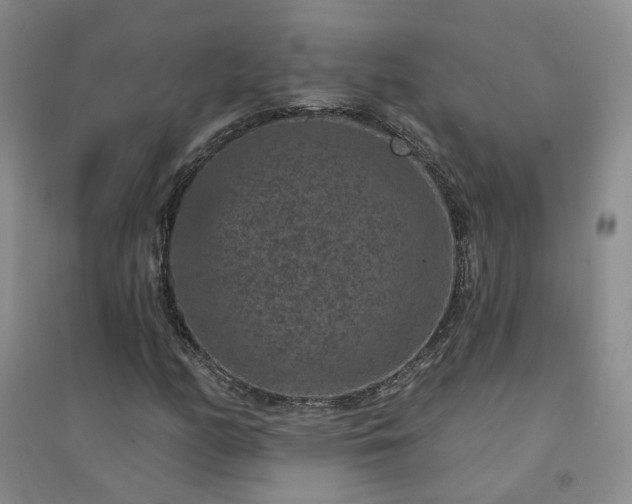 X0000094441158200711151358