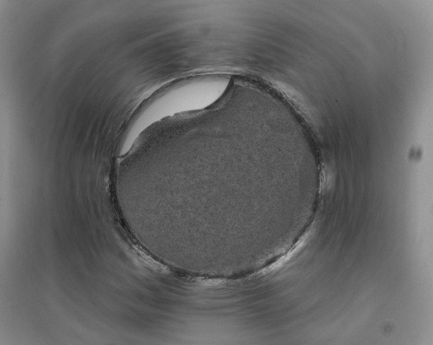 X0000094441161200711151358