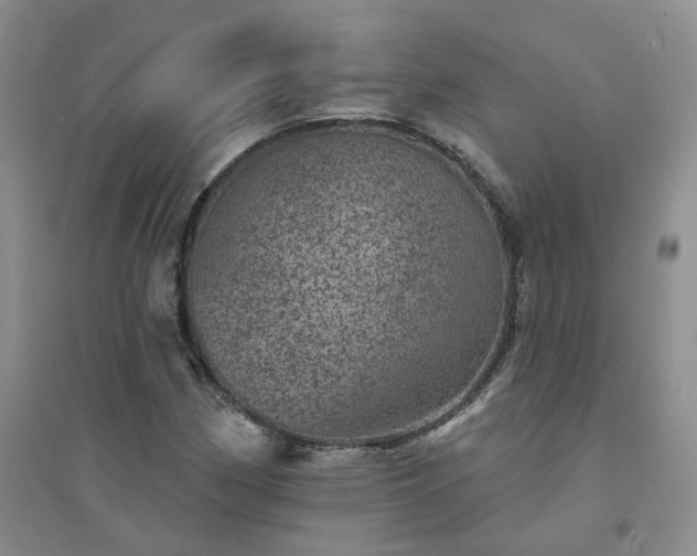 X0000094441162200711151358