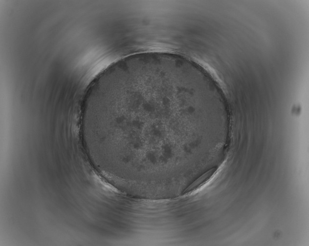 X0000094441163200711151358