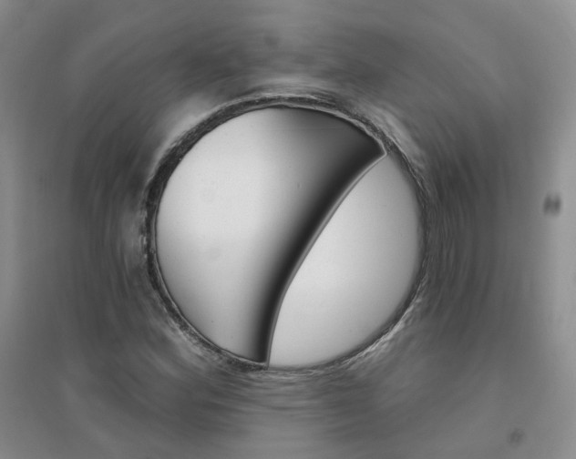 X0000094441164200711151358