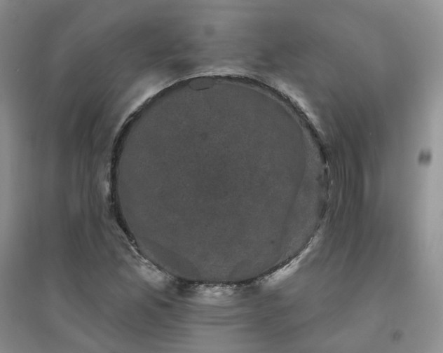 X0000094441165200711151358
