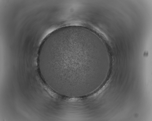 X0000094441166200711151358