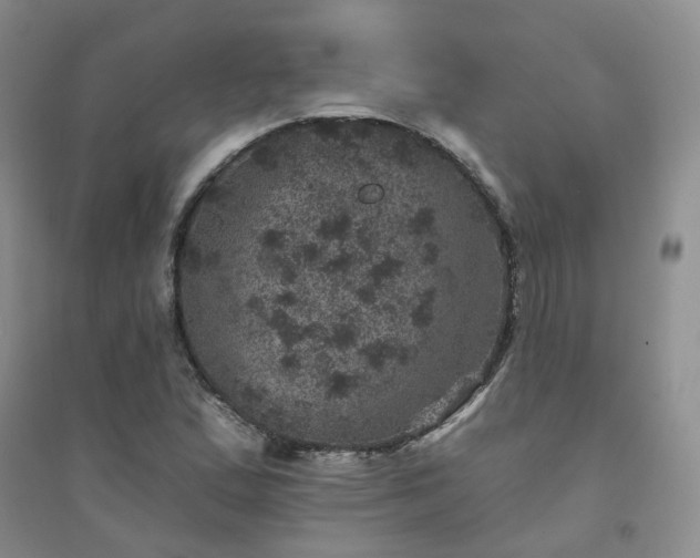 X0000094441167200711151358