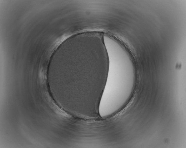 X0000094441169200711151358